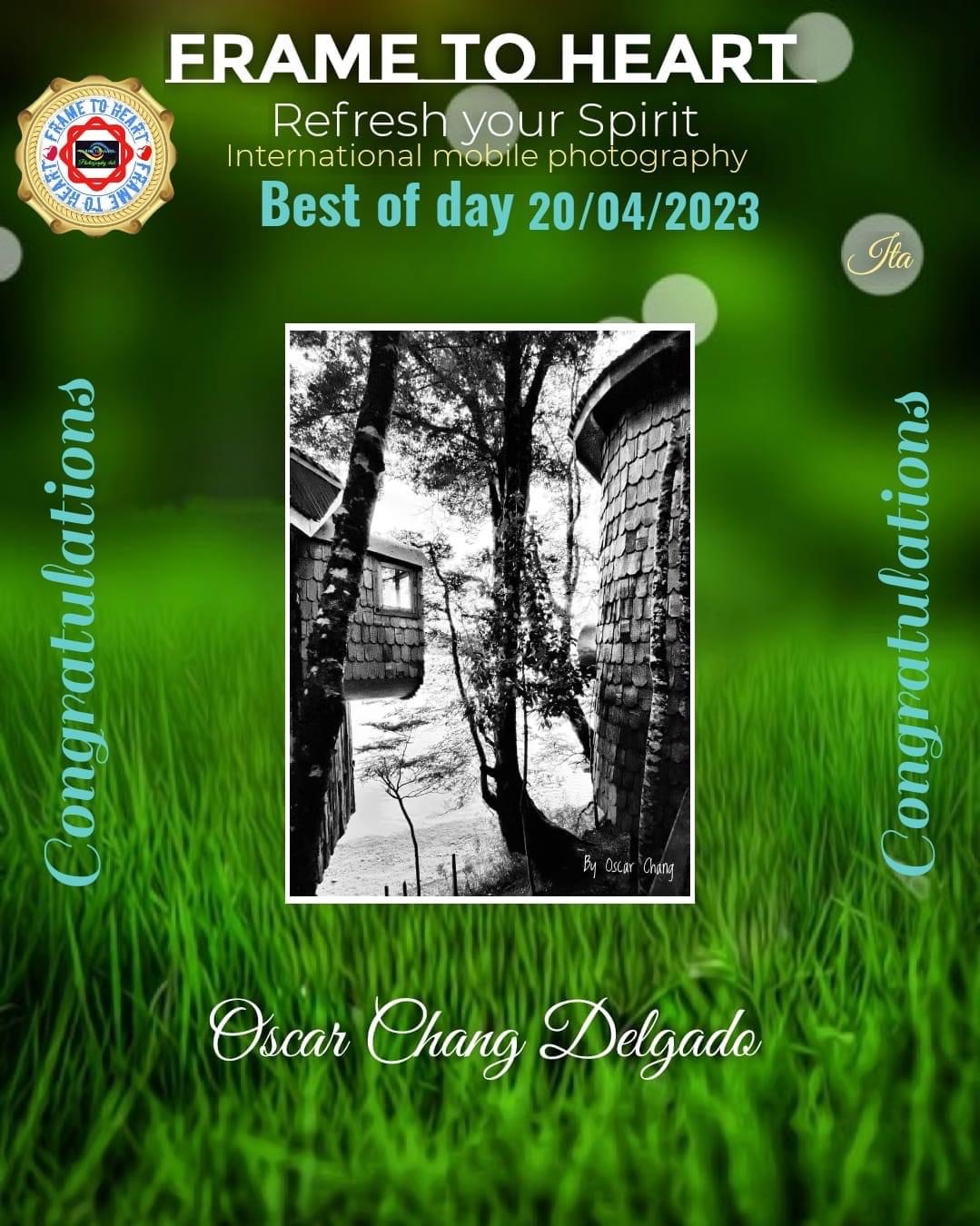 IMG-0287 (1) IMG-0287 (1)