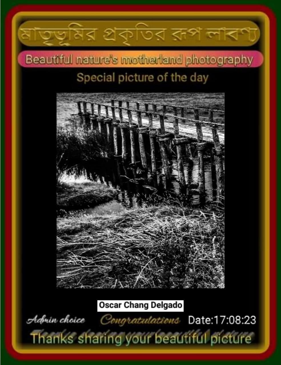 IMG-1206 IMG-1206