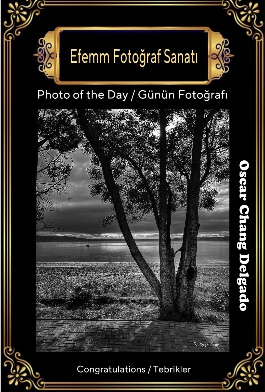 IMG_2404 IMG_2404